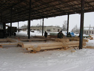 Establishment of log house