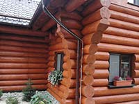 Canadian log cabin in Těptín