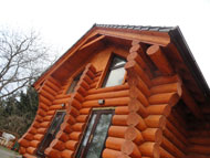 Detail - přední pohled