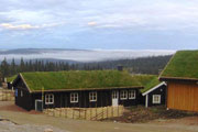 Green Roof